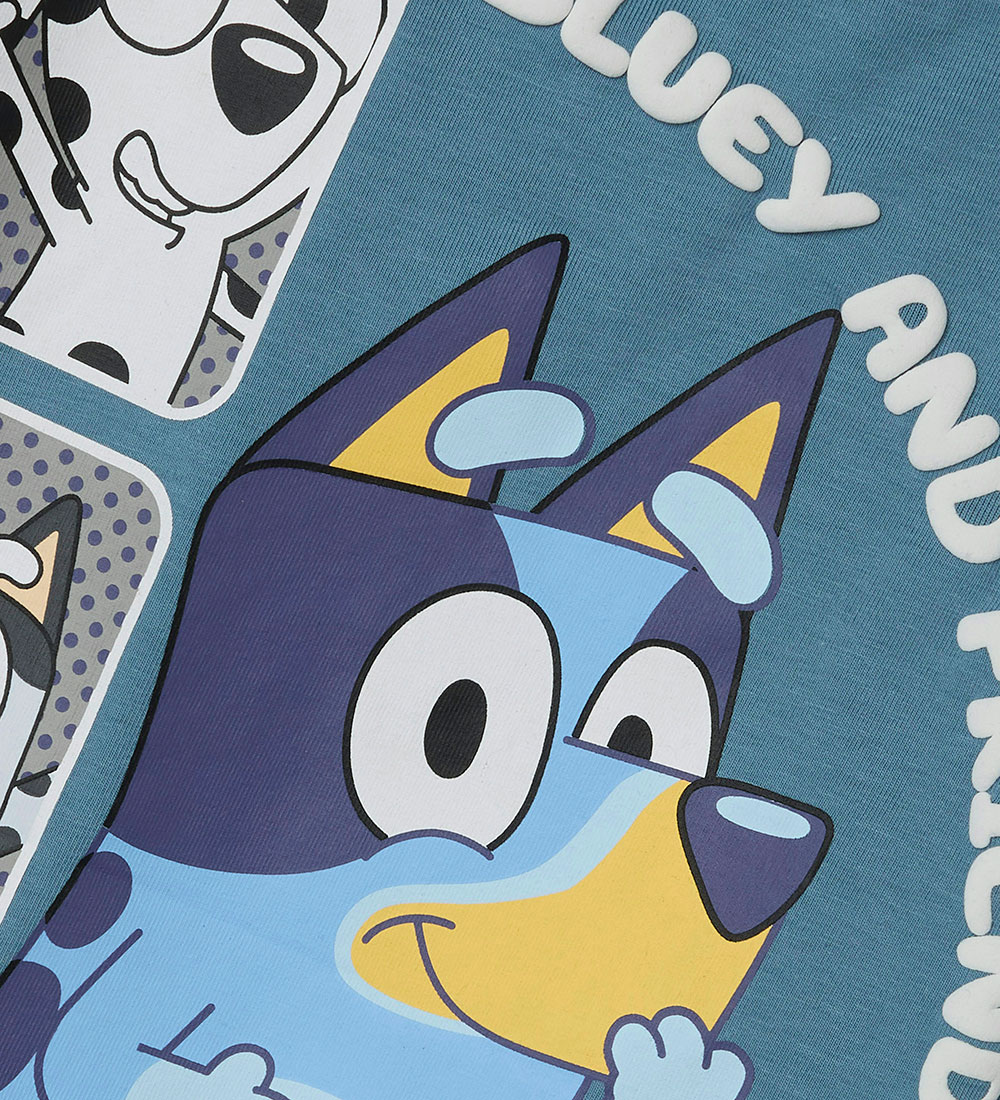 Name It T-Shirt - NmmFlick Bluey - Spring See