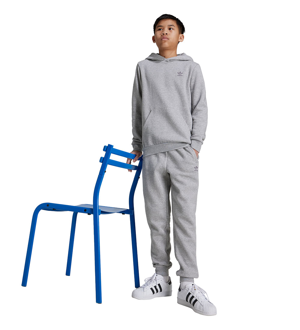adidas Originals Hettupeysa - Mgreyh