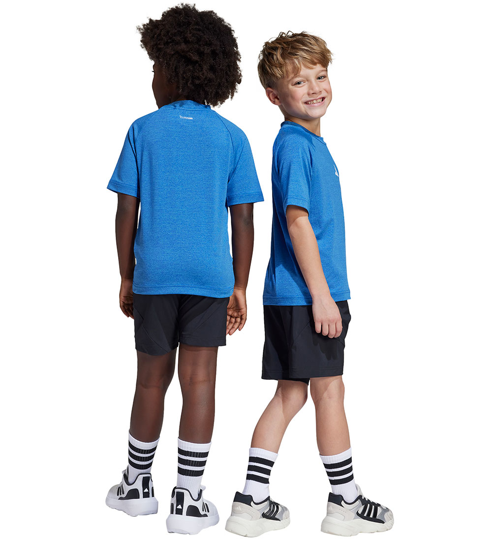 adidas Performance Träningsset - ljus cyan/Royal Blue/Vit