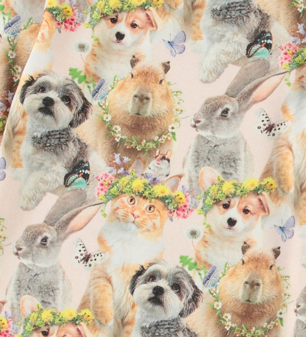 Molo Blouse - Rose - Festival Friends