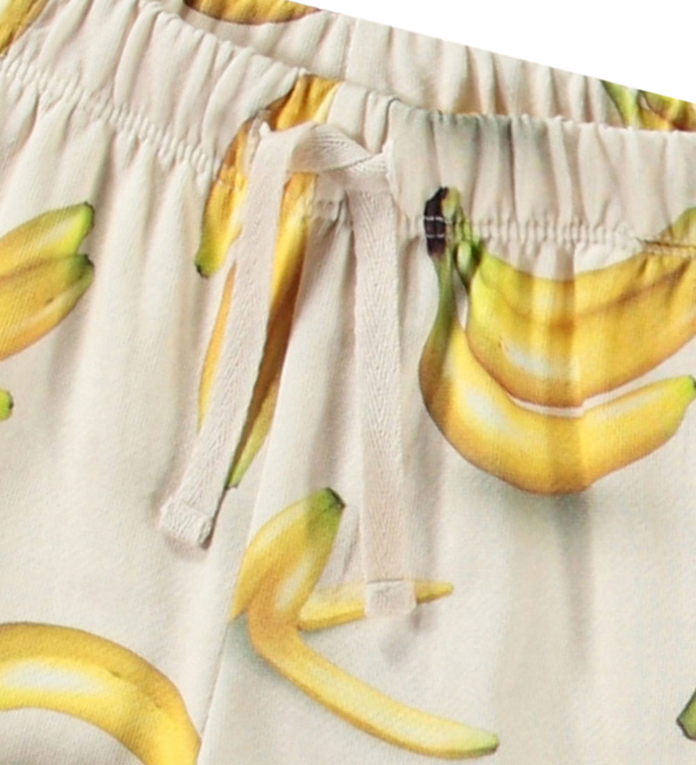 Molo Sweatpants - Simeon - Babynanas