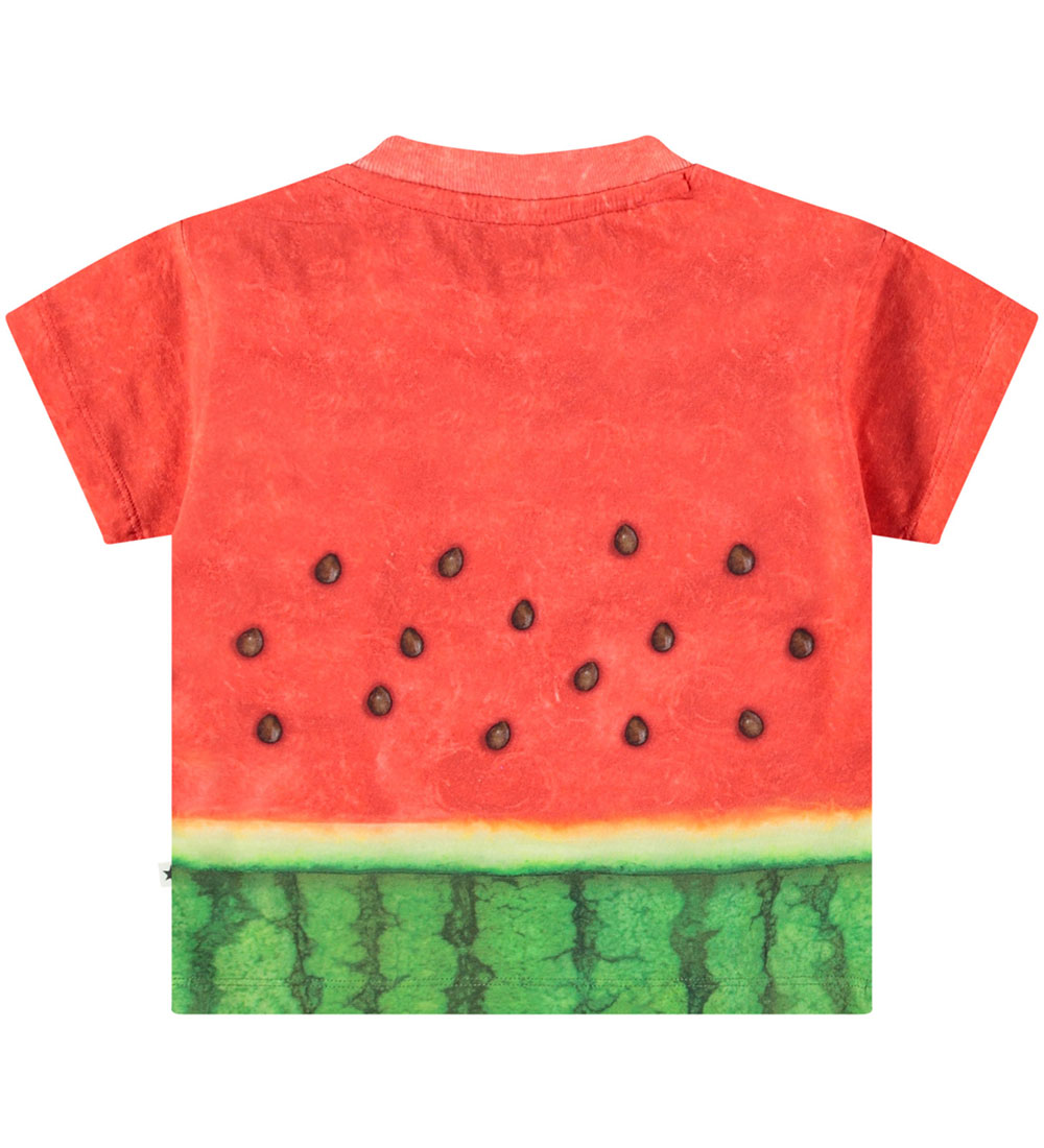 Molo T-shirt - Enzo - Be a Melon