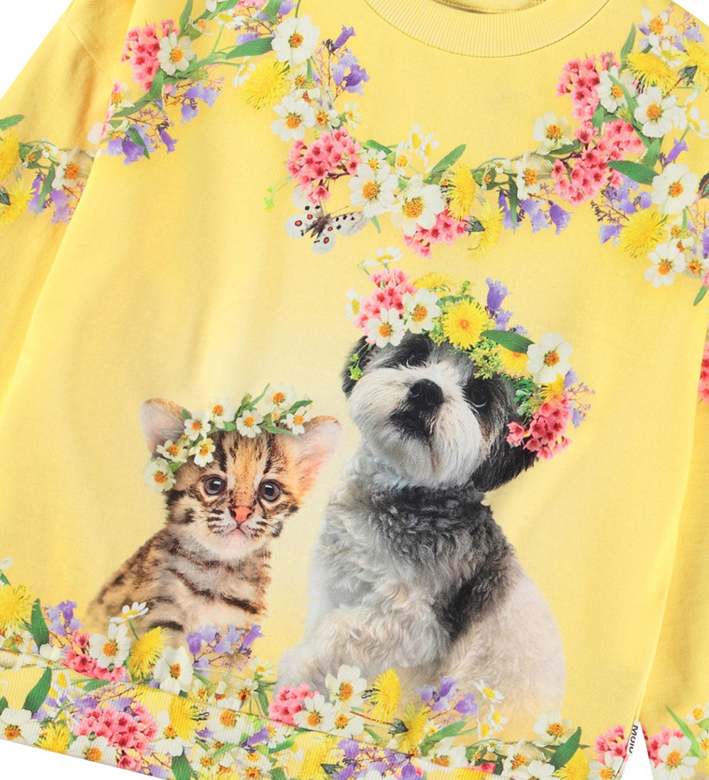 Molo Sweatshirt - Maxi - Sweet Maggie