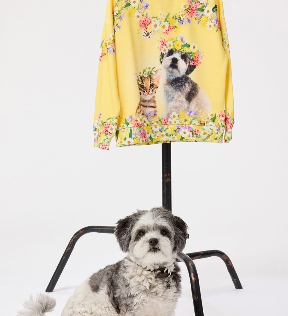 Molo Sweatshirt - Maxi - Sweet Maggie