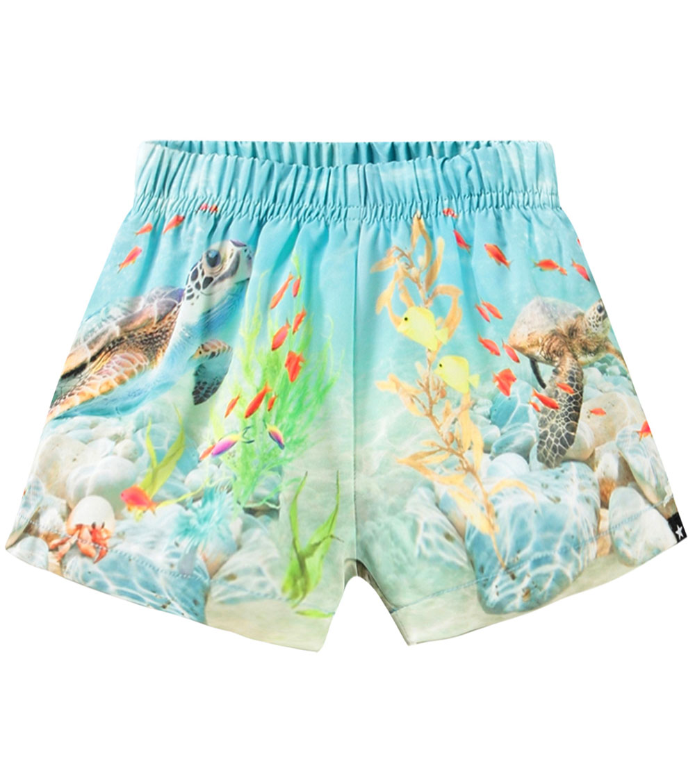 Molo Swim Shorts - UV50+ - Newton - Happy Ocean