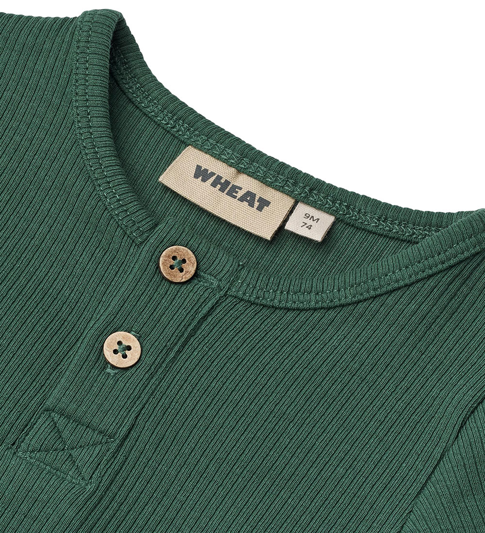 Wheat Bodysuit l/s - Rib - Benny - Green Tea