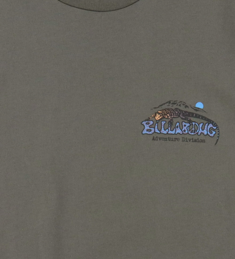 T-Shirt Billabong - Montagne du Lézard - Gris