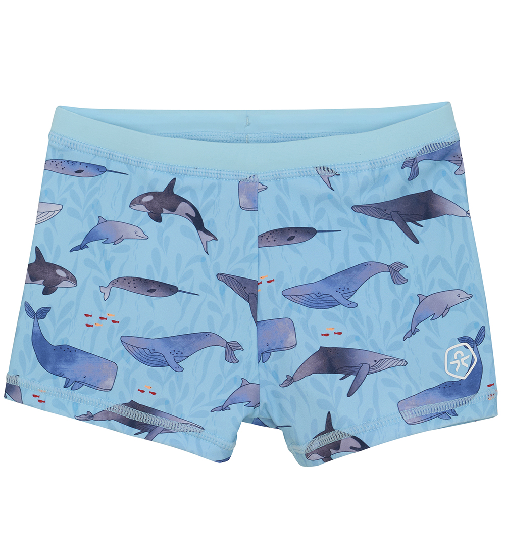 Color Kids Swim Trunks - AOP - Summer Song