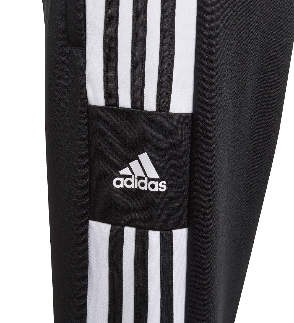 adidas Performance Track Pants - Squadra 21 - Black