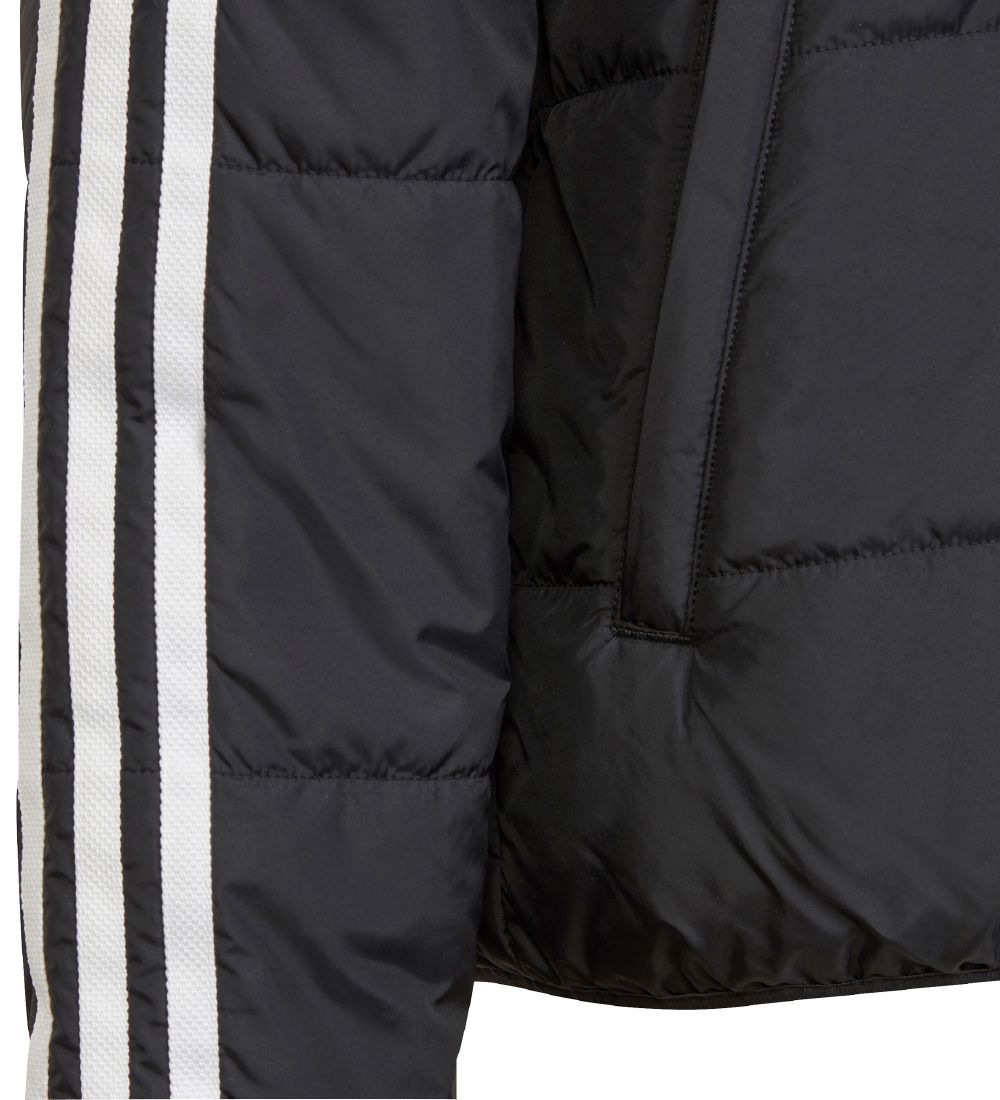 adidas Originals Padded Jacket Jacket - Adicolor - Black/White