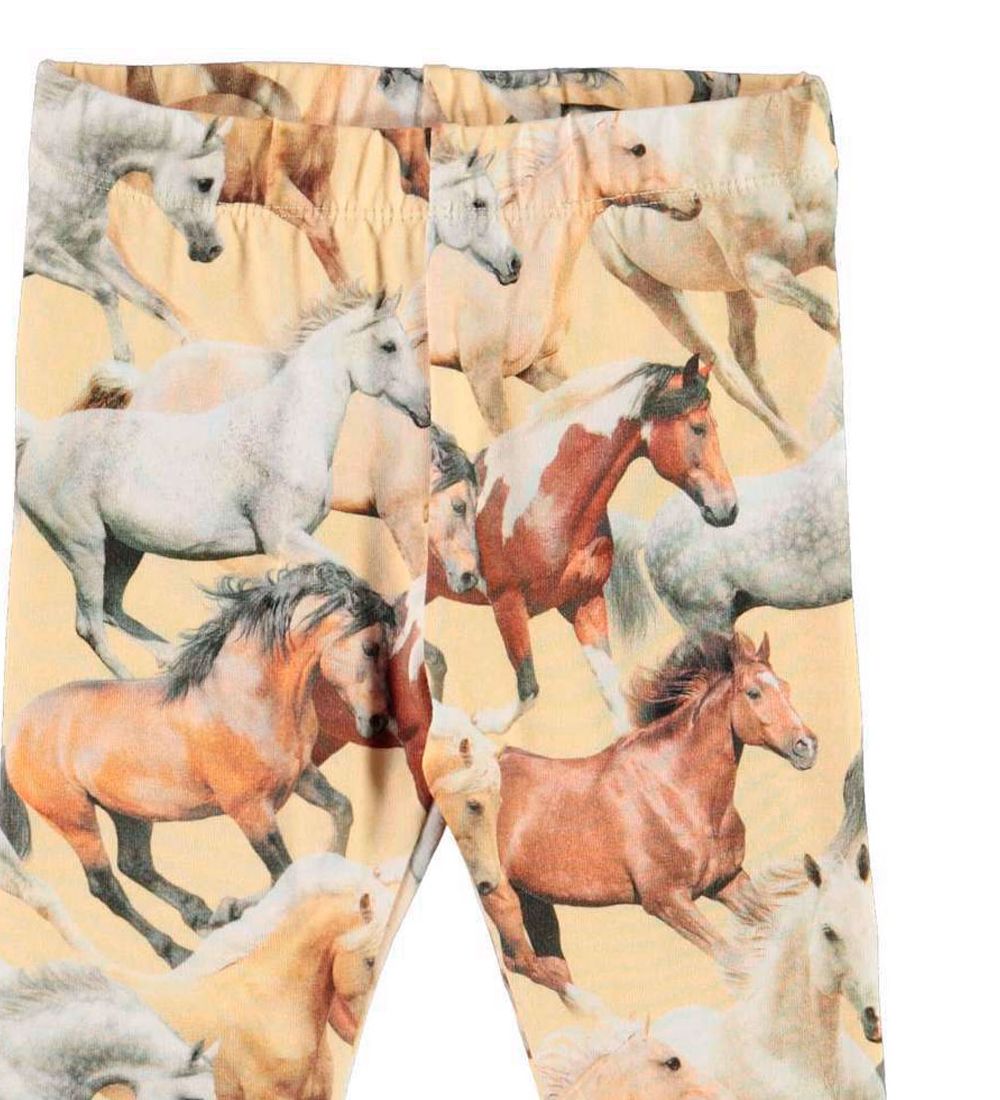 Molo Leggings - Stefanie - Horse Dromen