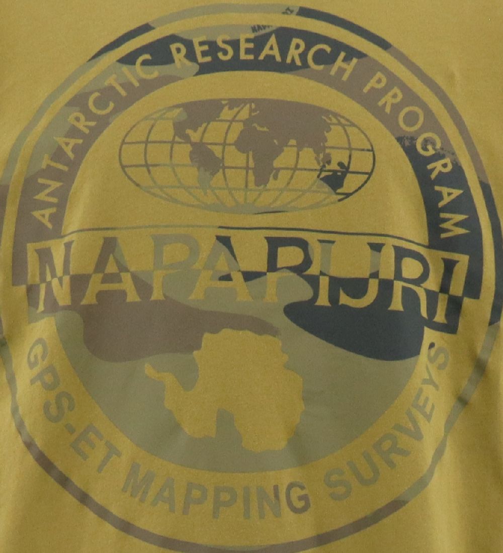 Napapijri T-shirt - Green Moss w. Print