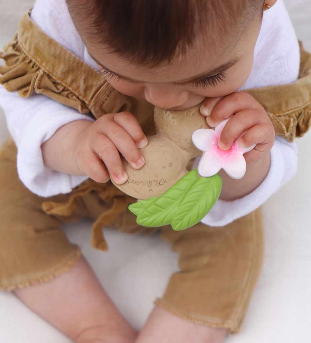 Oli & Carol Teething Toy - Natural Rubber - Aly The Almond