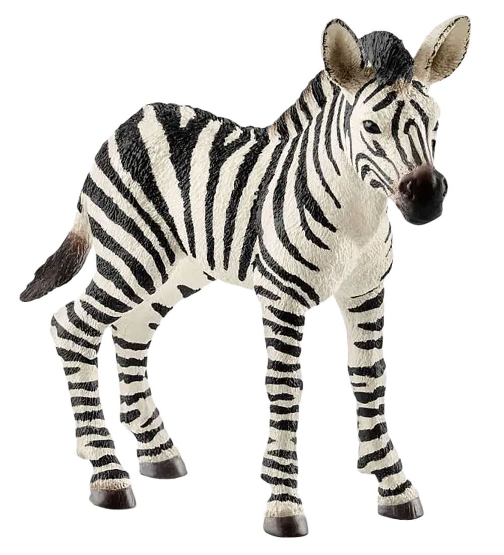 Schleich Wild Life - H: 7 cm - Zebra Foal 14811