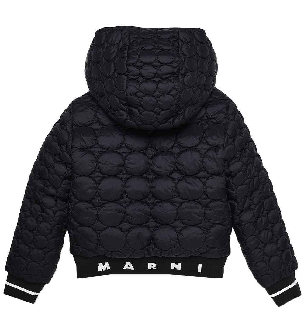 Marni Padded Jacket - Black