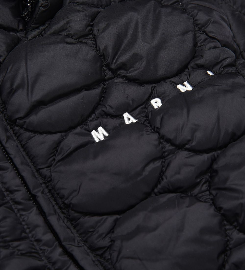 Marni Padded Jacket - Black