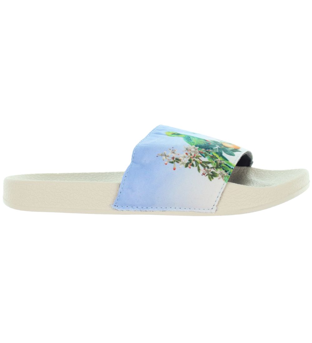 Molo Flip Flops - Zhappy - Paradise Bird