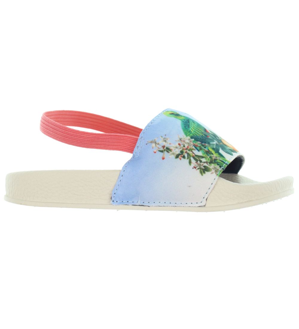 Molo Flip Flops w. Elasticband - Zhappy - Paradise Bird