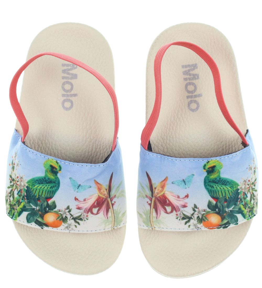 Molo Flip Flops w. Elasticband - Zhappy - Paradise Bird