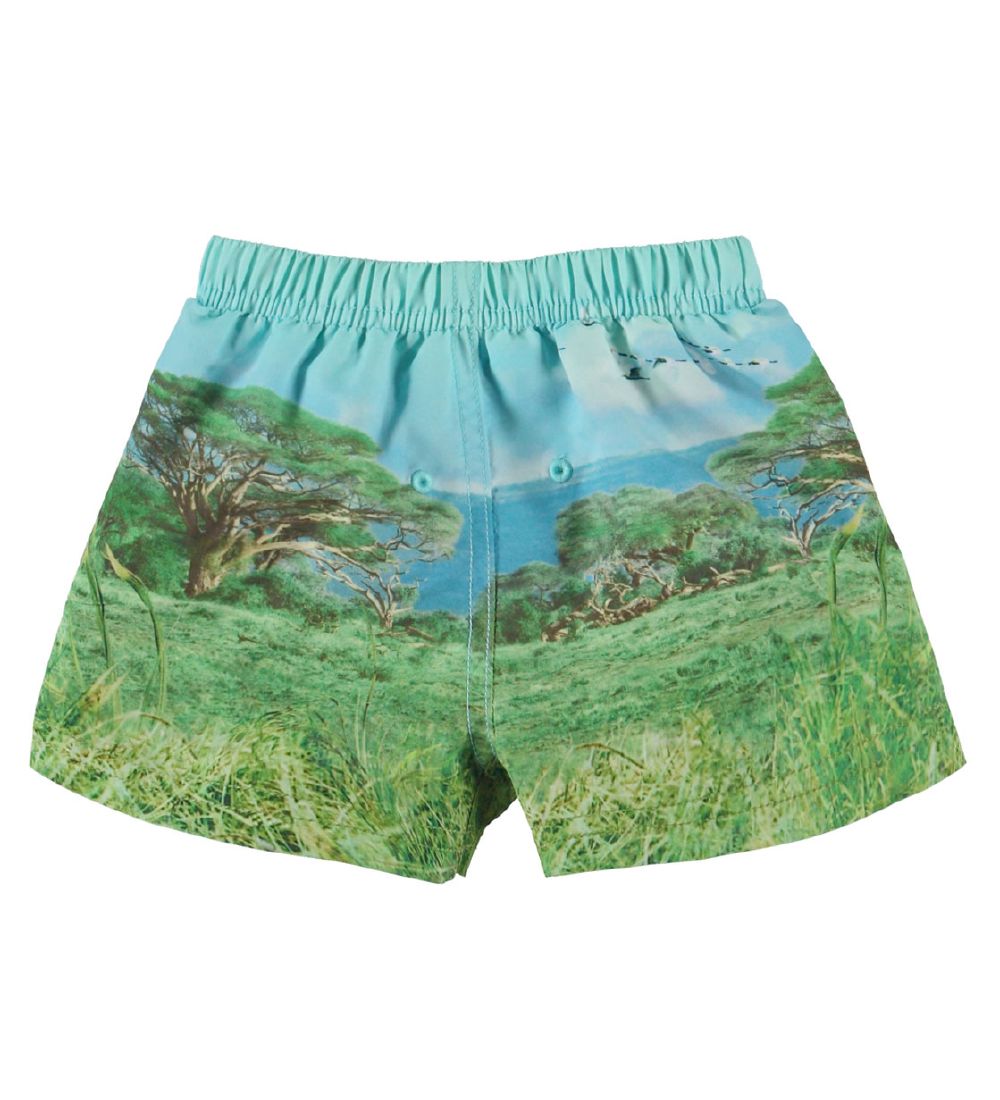 Molo Swim Shorts - UV50+ - Newton - Lion Cub
