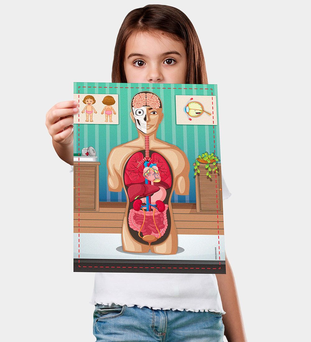 Liniex Science4you Set - Human Bodysuit