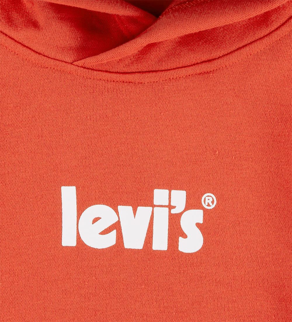 Levis Kids Hoodie - Chrysanthemum