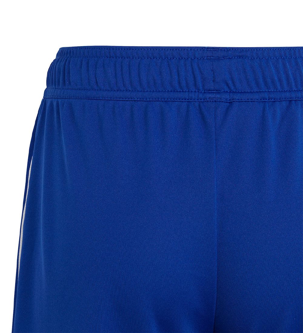 adidas Performance Shorts - TIRO 23 SHO Y - Blau/Weiß