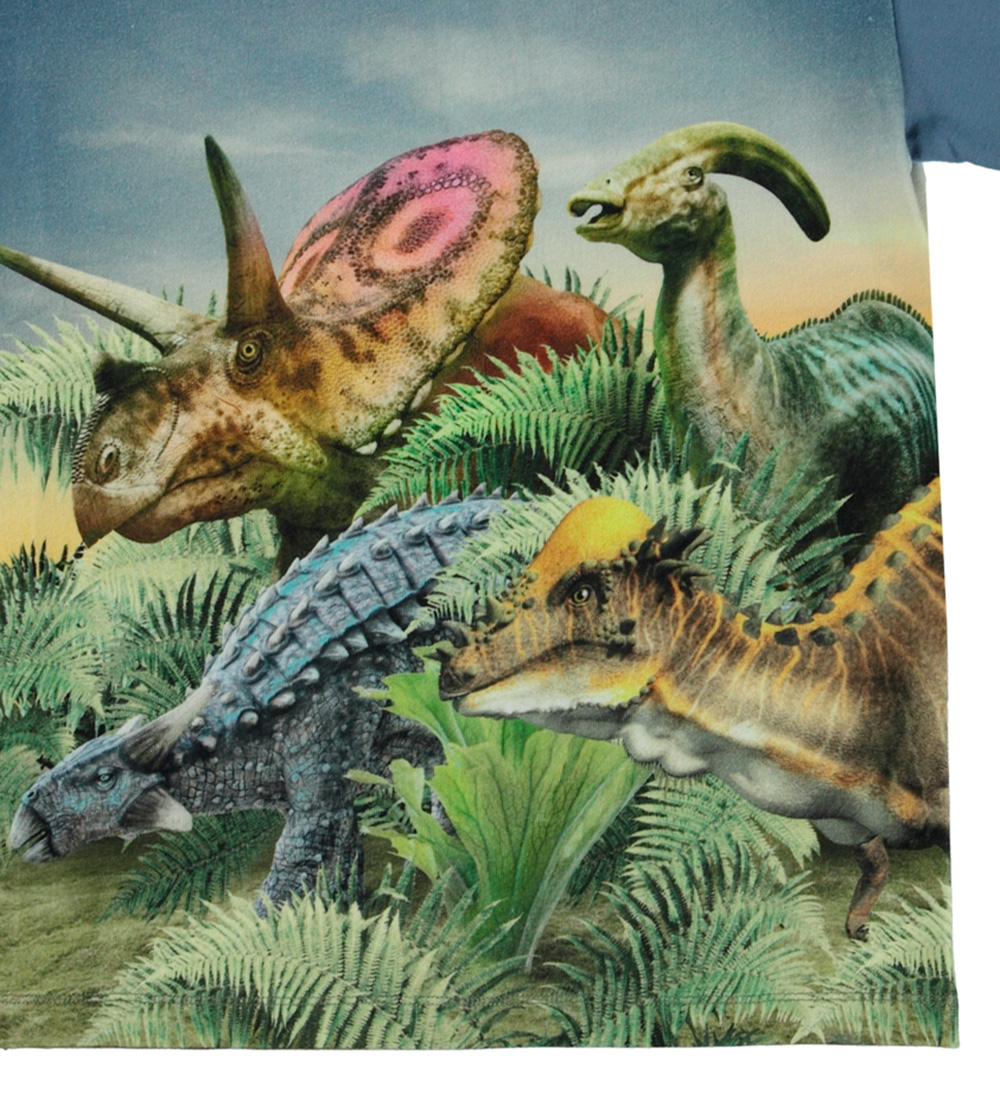 Molo T-shirt - Raveno - Dino Friends