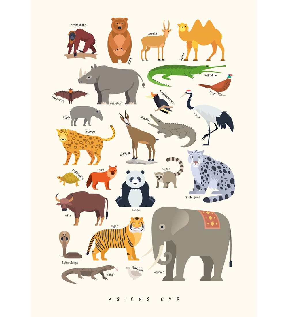 Citatplakat Veggspjald - Barnaplakat - Dýr Asíu - A3