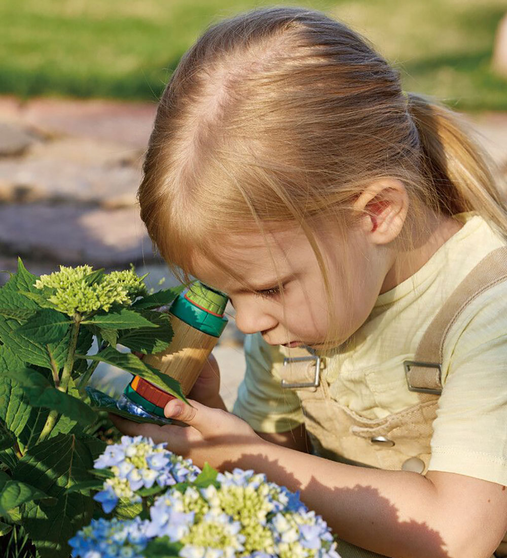 Hape Microscope - Nature Fun