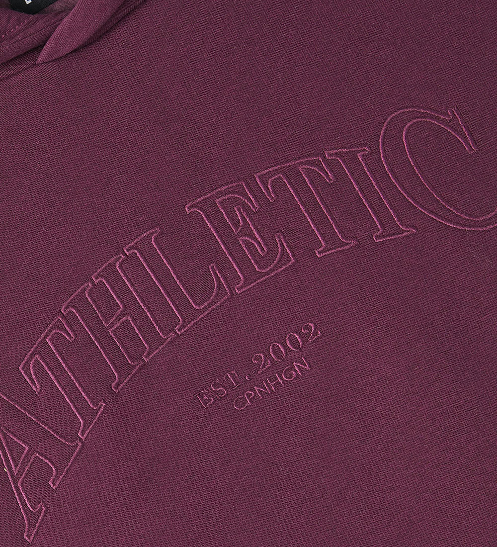 LMTD Hoodie - NlnNetic - Grape Wine