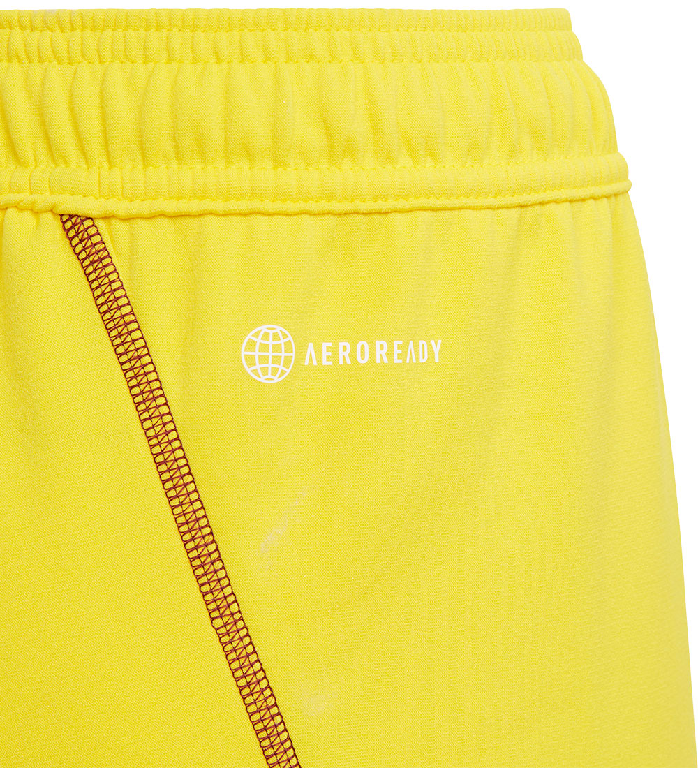 adidas Performance Shorts - Rome - Geel