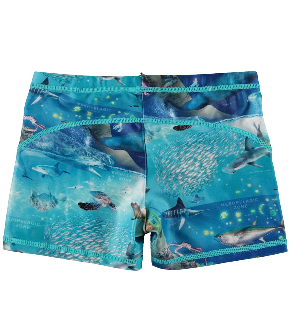 Molo Swim Trunks - UV50+ - Norton - Ocean Zones