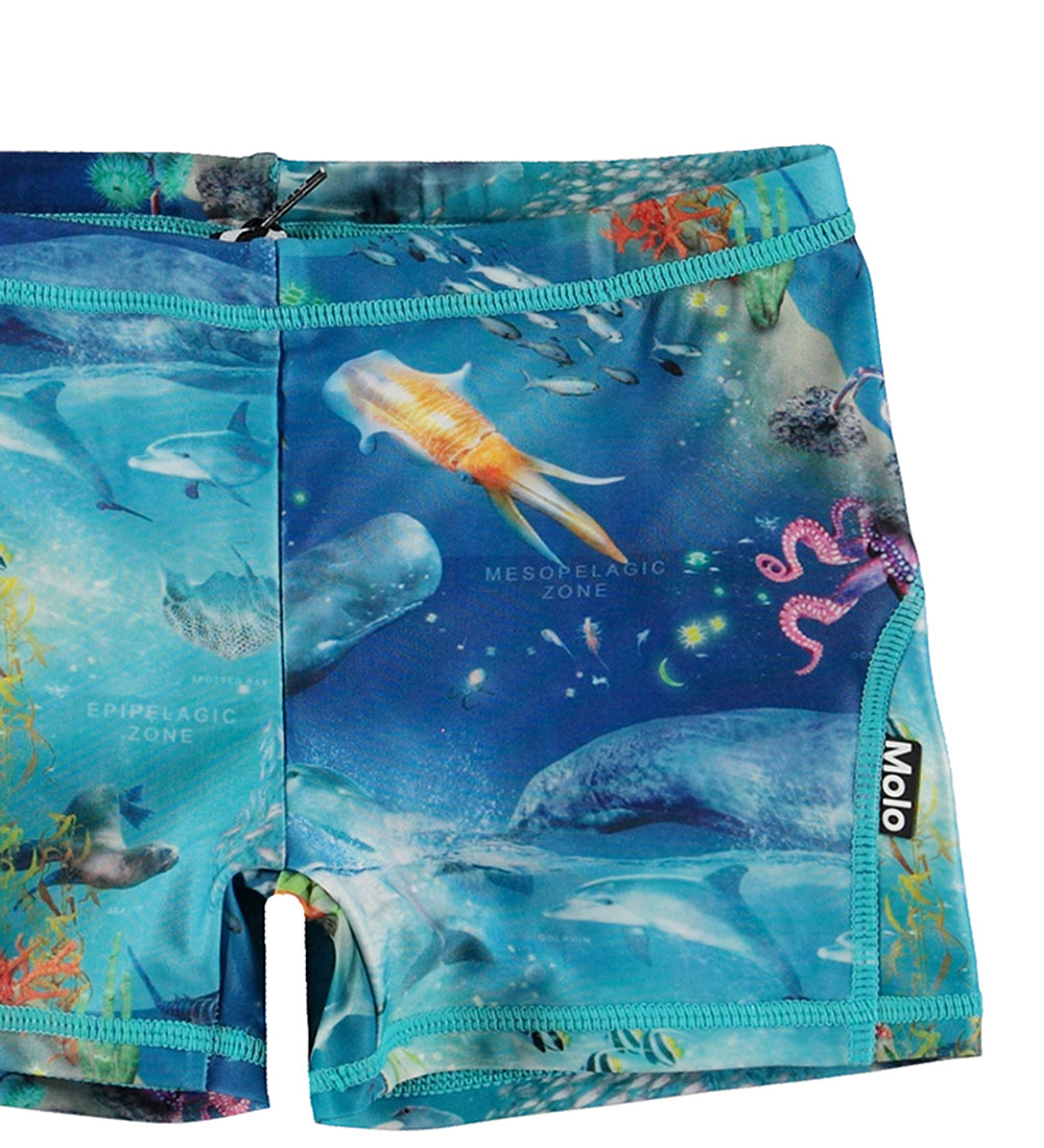 Molo Swim Trunks - UV50+ - Norton - Ocean Zones