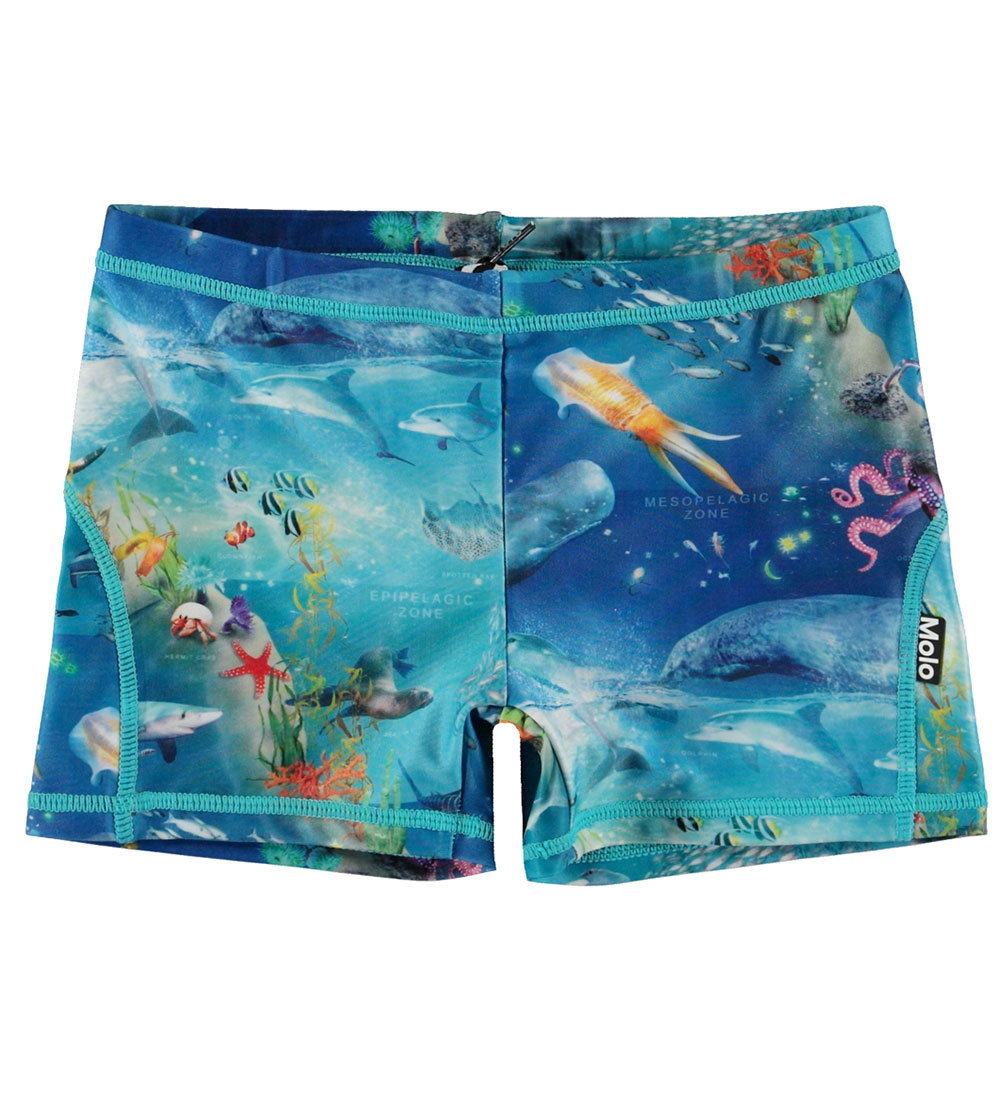 Molo Swim Trunks - UV50+ - Norton - Ocean Zones