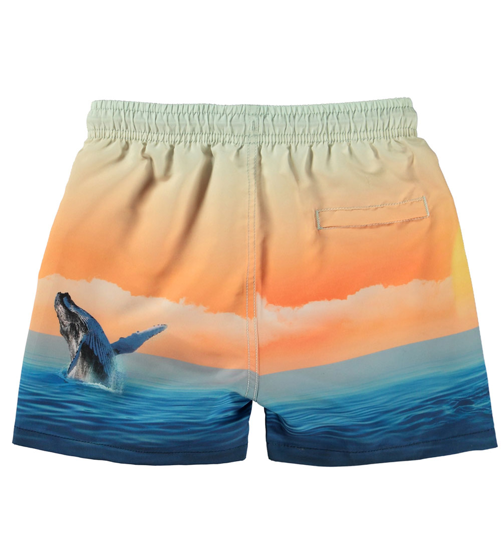 Molo Swim Shorts - UV50+ - Niko - Ocean Smile