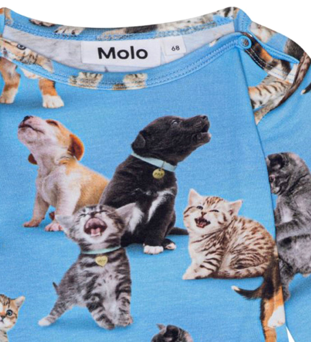 Molo Bodysuit l/s - Foss - Joy of Music
