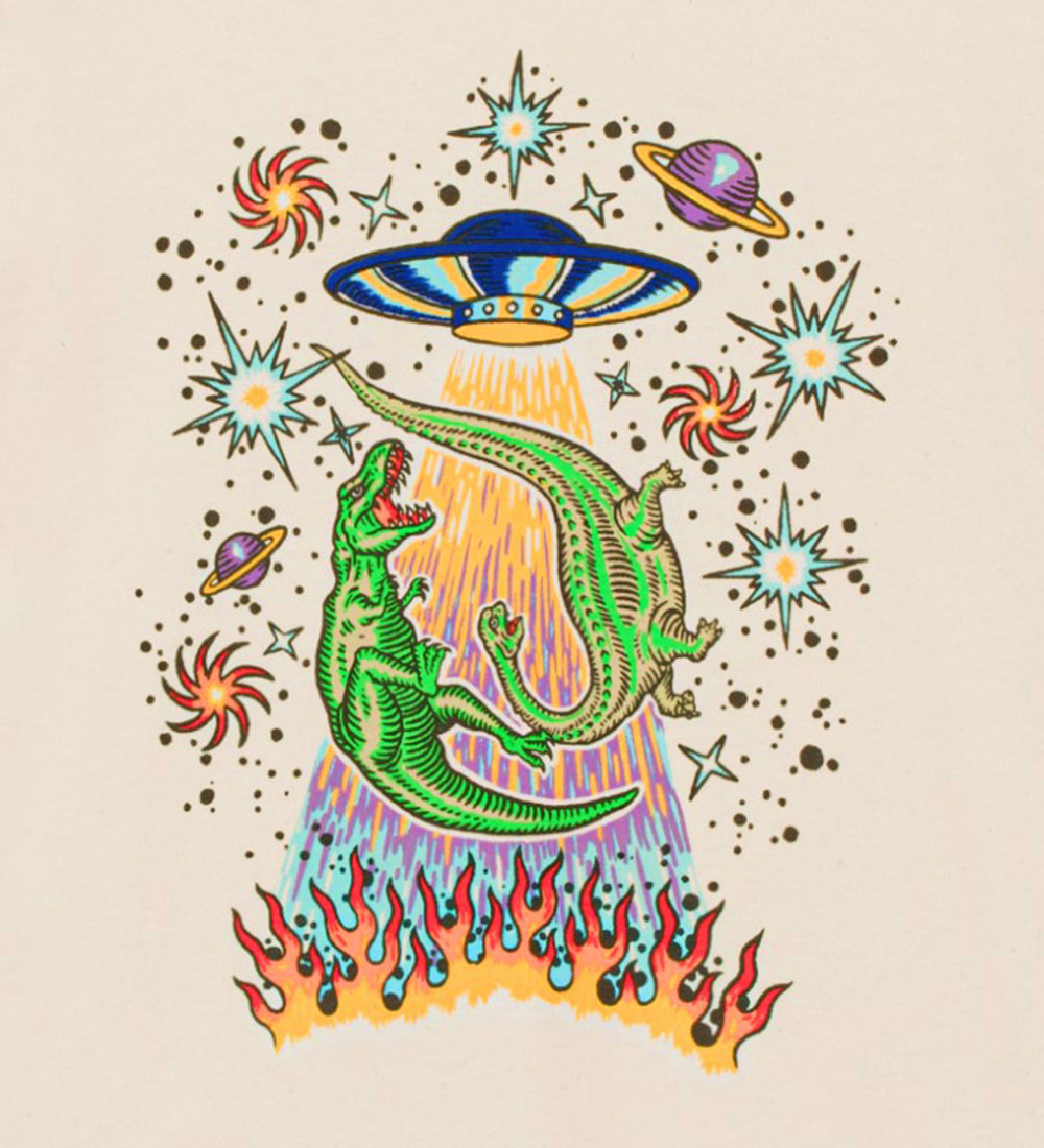 Molo T-shirt - Riley - UFO Duck Dinos