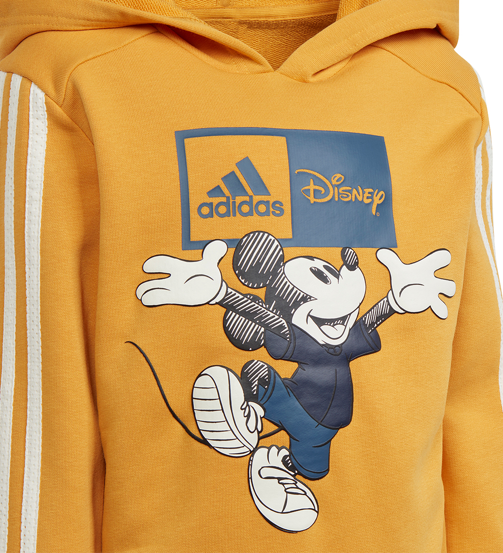adidas Performance Collegesetti - LK DY MM - Keltainen/Sininen M
