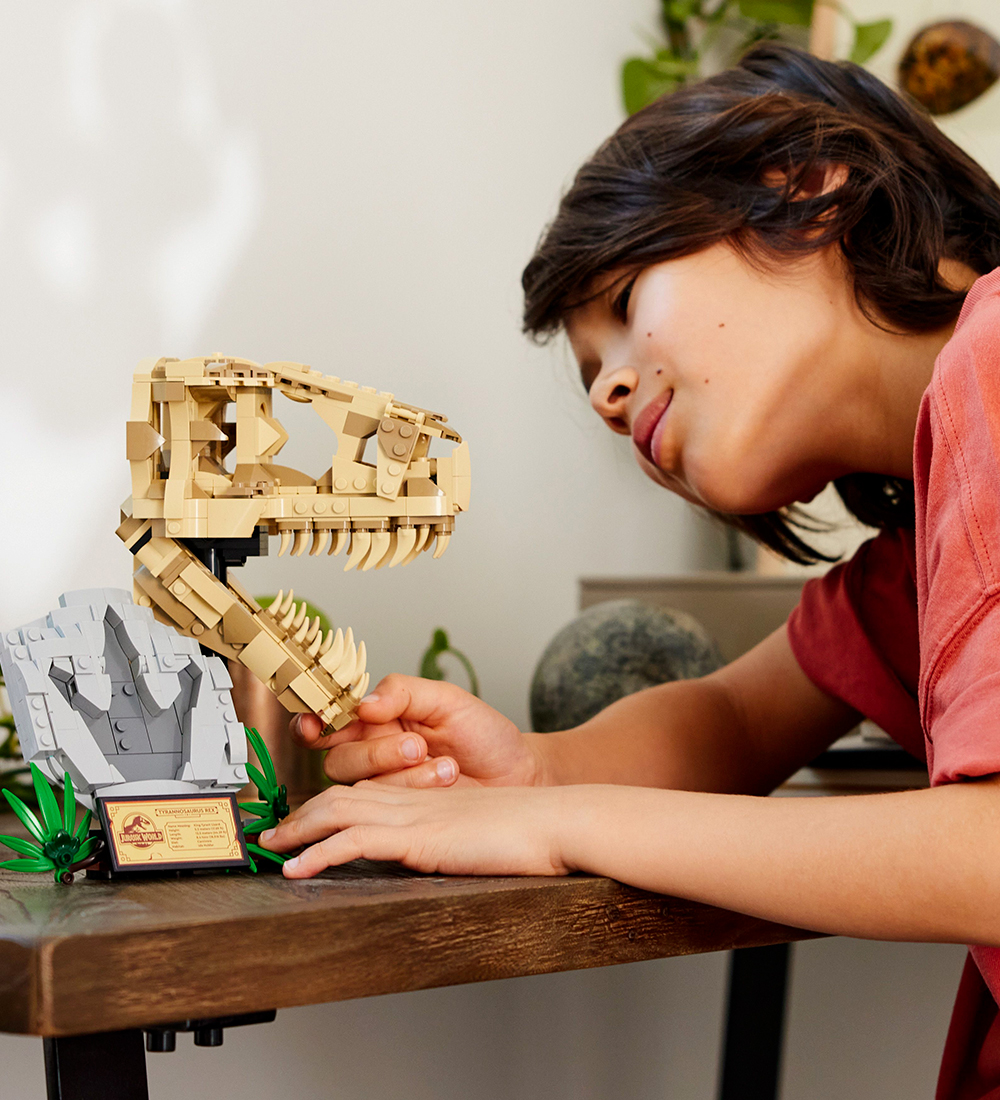 LEGO® Jurassic World - Les fossiles de dinosaures : le crâne...