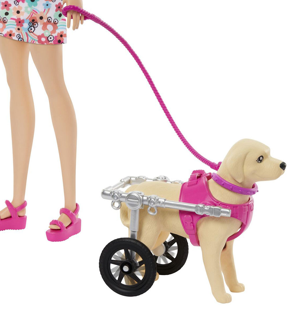 Barbie Doll set - 30 cm - Barbie and Dog I wheelchair