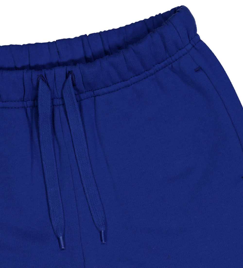 Freds World Sweat Shorts - Surf