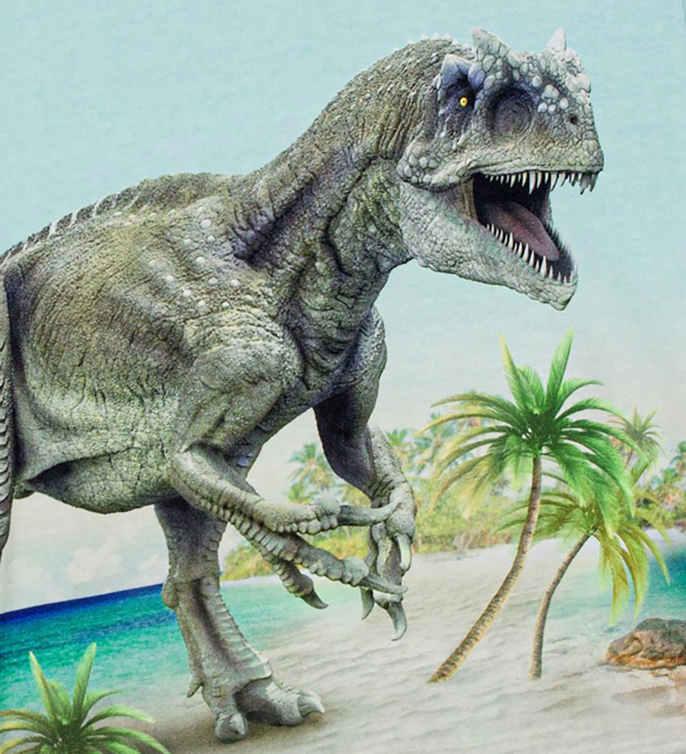 Molo T-shirt - Roxo - Beach Dino