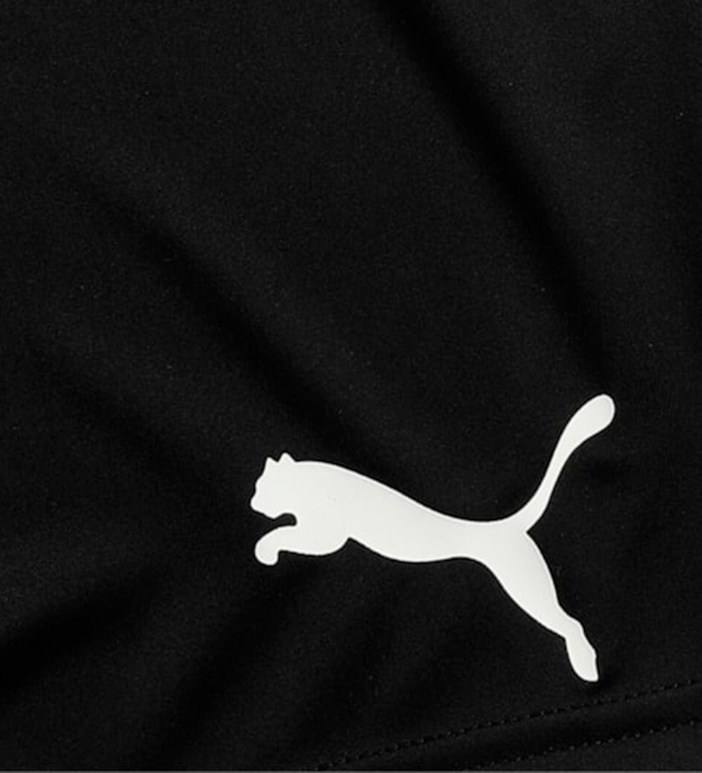 Puma Shorts - Active Interlock - Black