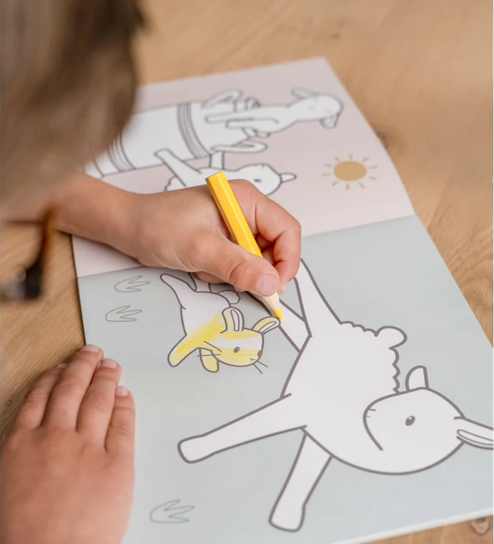 Little Dutch Colouring Book - Little Farm