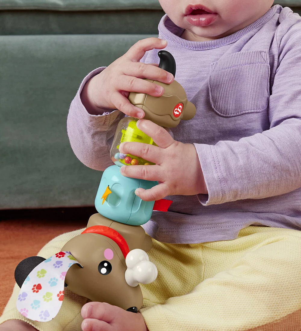 Fisher-Price Activity toys - Click & Spin - Puppy