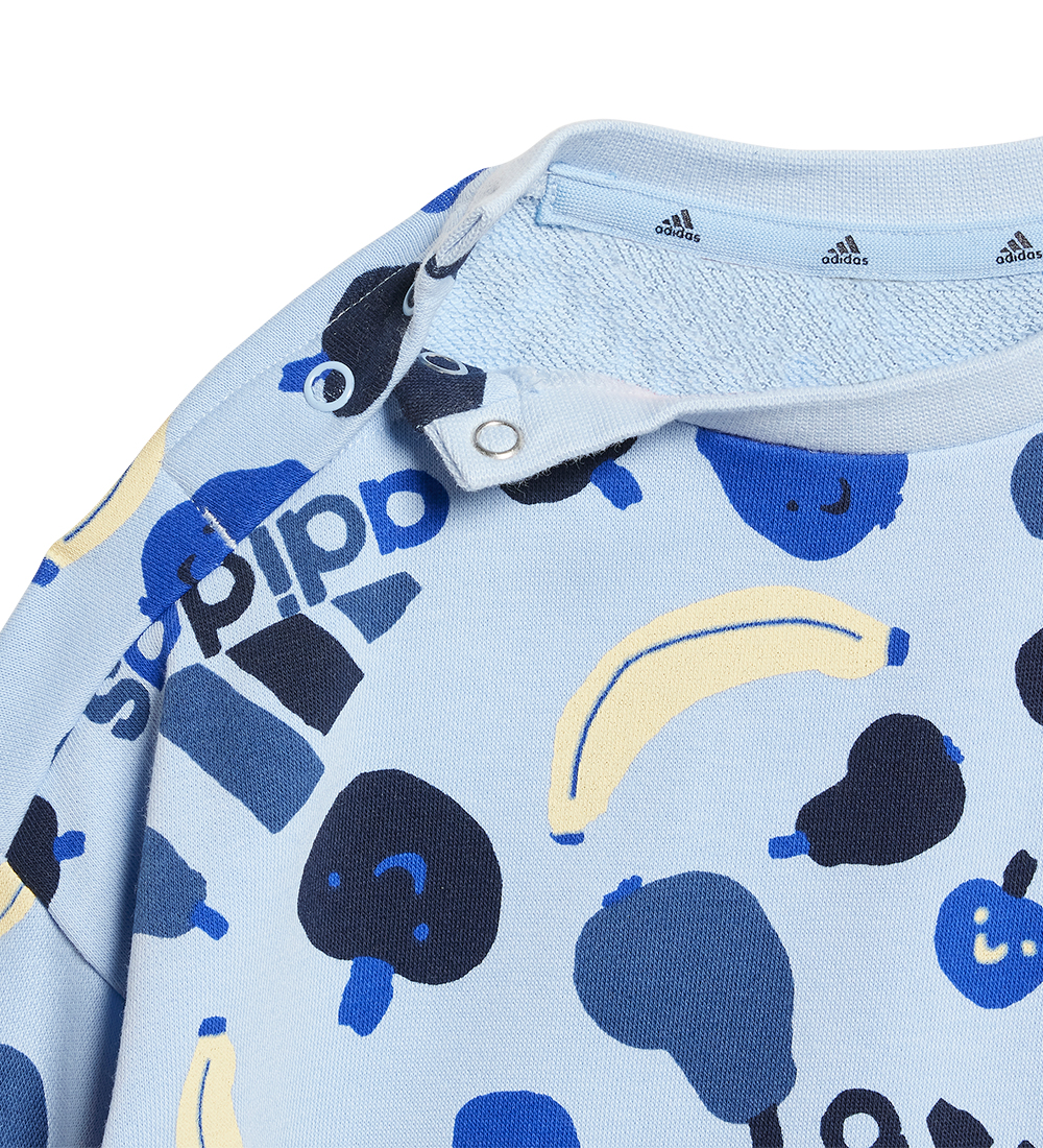 adidas Performance Sweat Set - I Fruit FT Jog - Blue