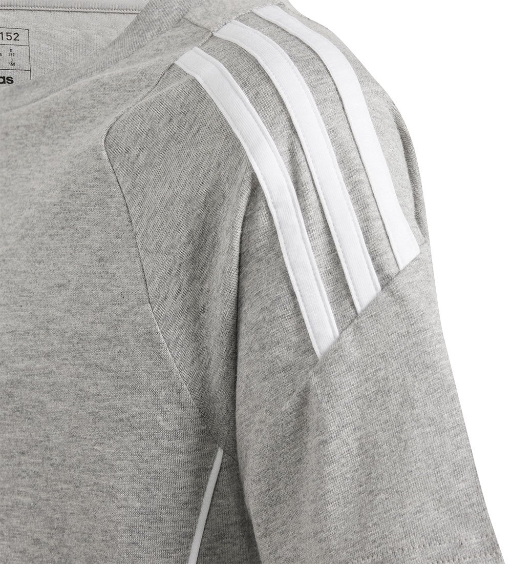 adidas Performance T-shirt - Tiro24 Swteey - Grey/White