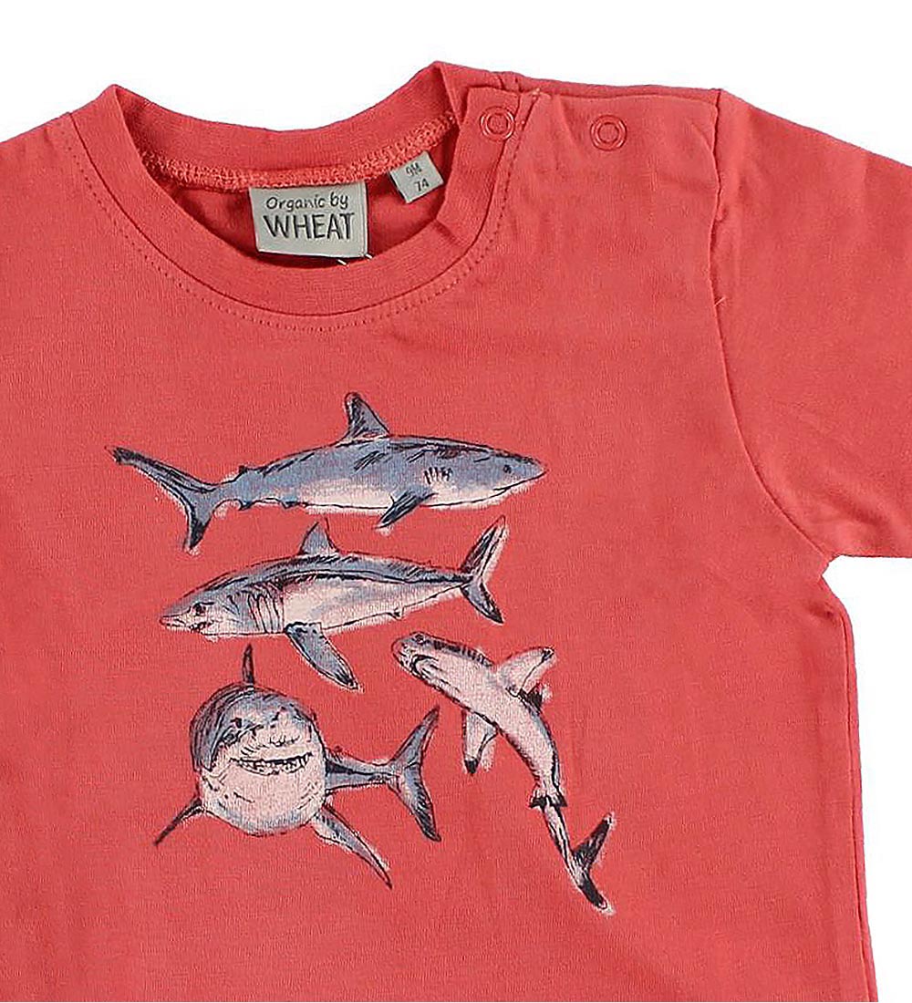 Wheat T-shirt - Red w. Sharks