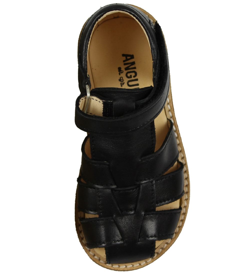 Angulus Sandals - Black w. Velcro